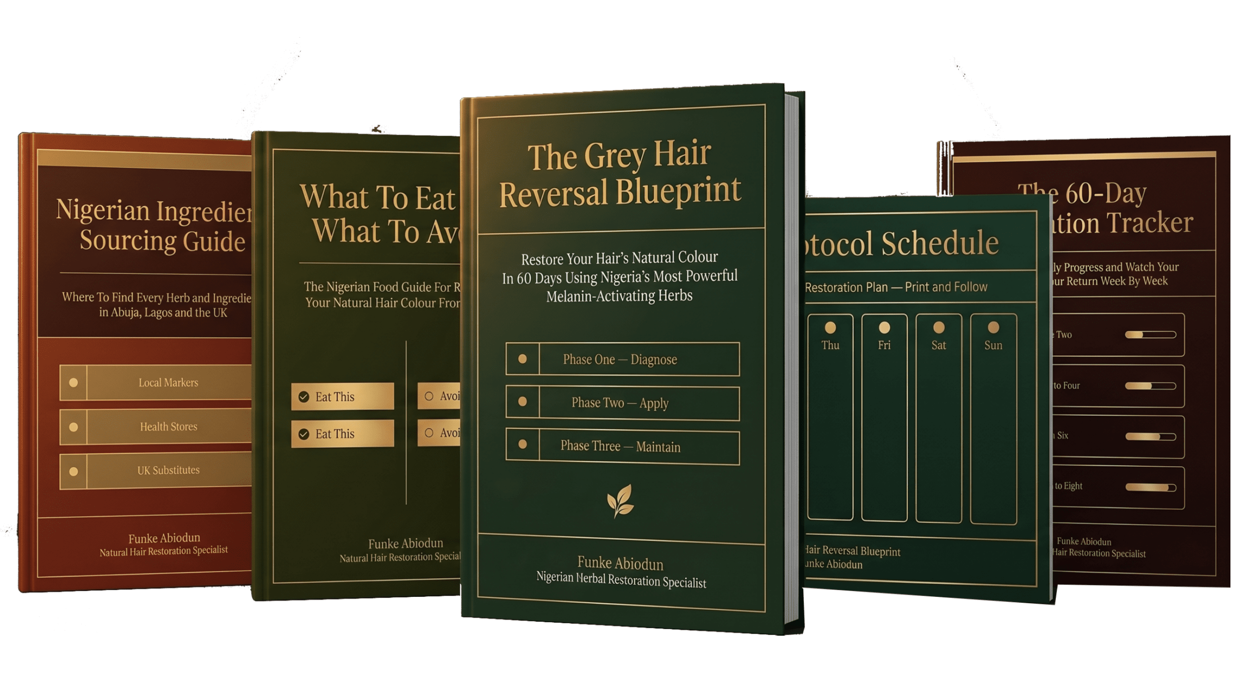 The Grey Hair Reversal Blueprint — Complete Bundle