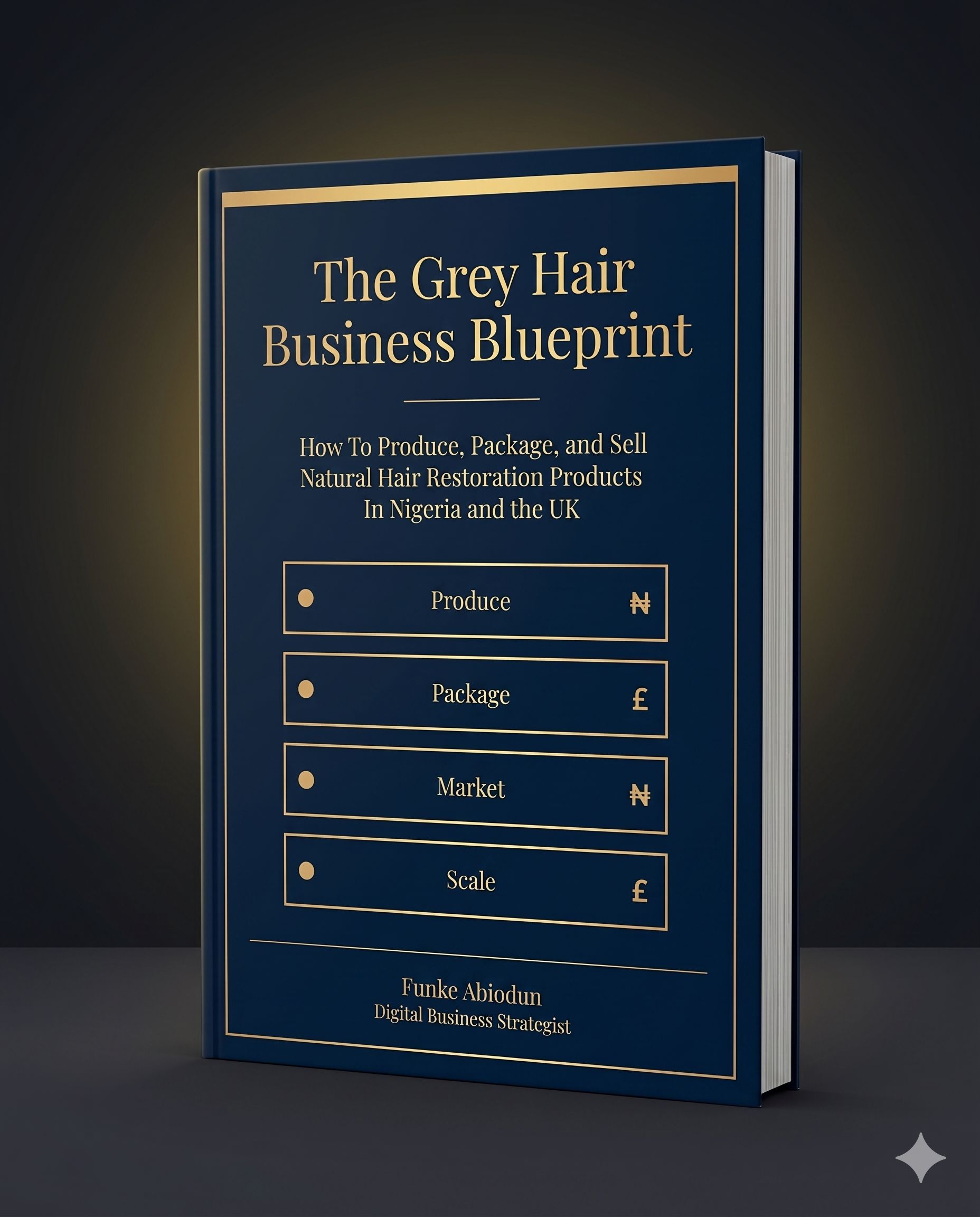 The Grey Hair Business Blueprint