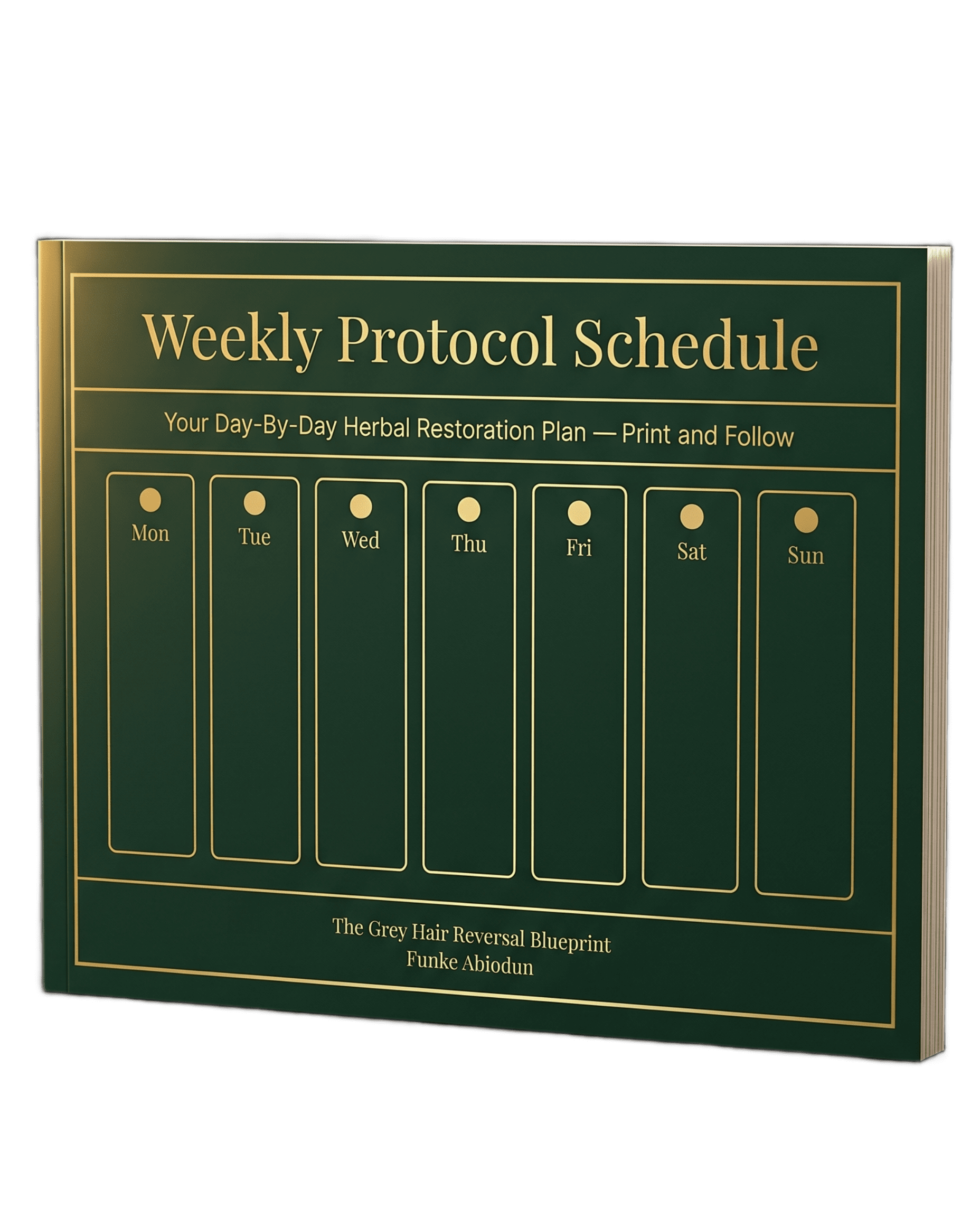 Weekly Protocol Schedule Card