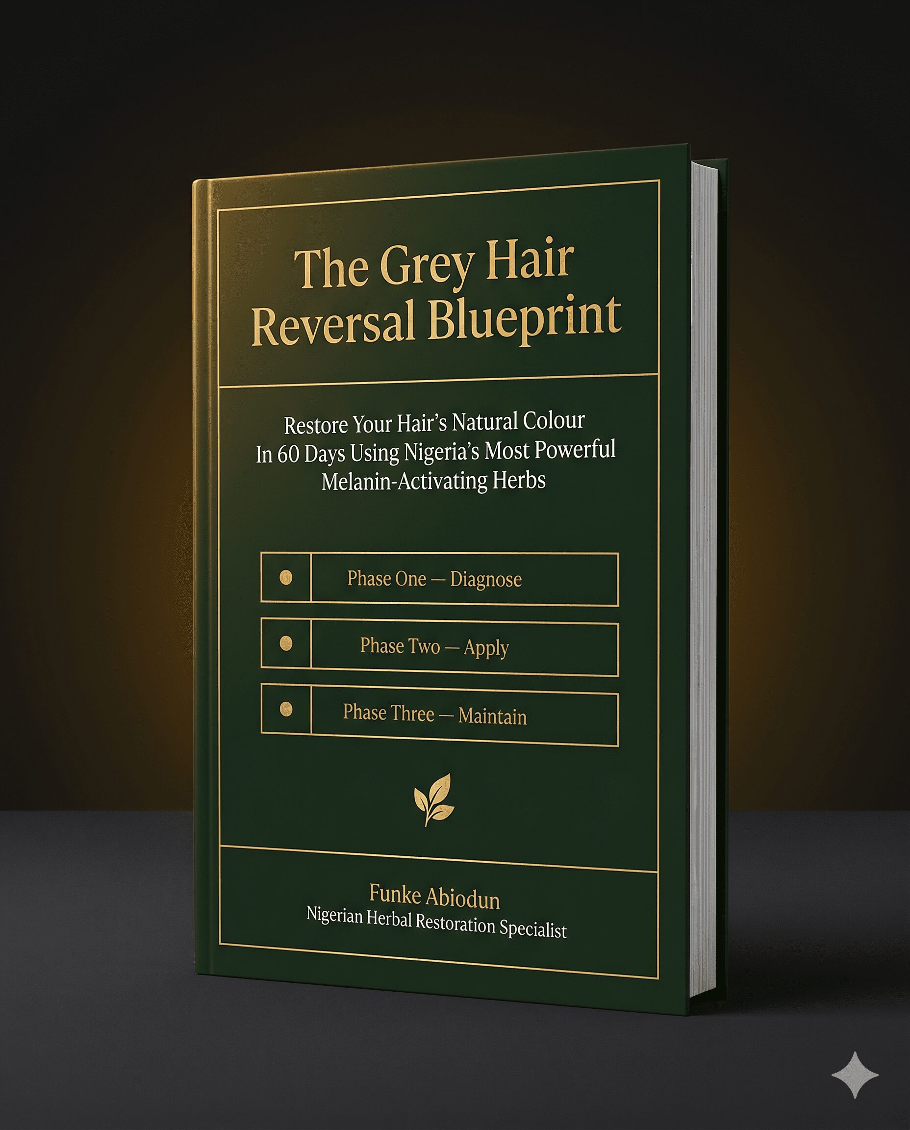 The Grey Hair Reversal Blueprint